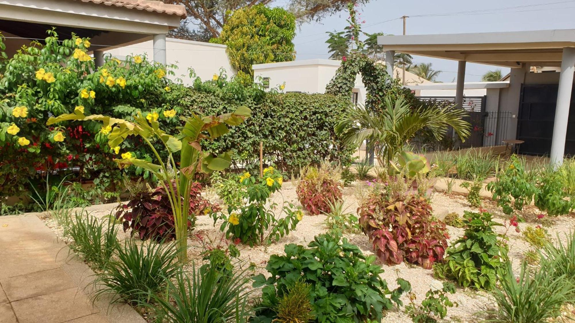 Amour Sénégal Ngaparou Esterno foto